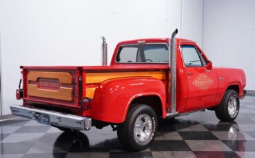 Dodge-Other-Pickups-1979-Pickup-Truck-11