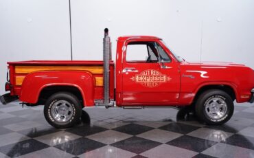 Dodge-Other-Pickups-1979-Pickup-Truck-12