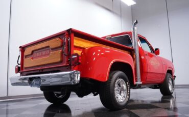 Dodge-Other-Pickups-1979-Pickup-Truck-24