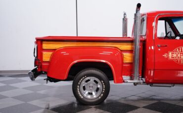 Dodge-Other-Pickups-1979-Pickup-Truck-26