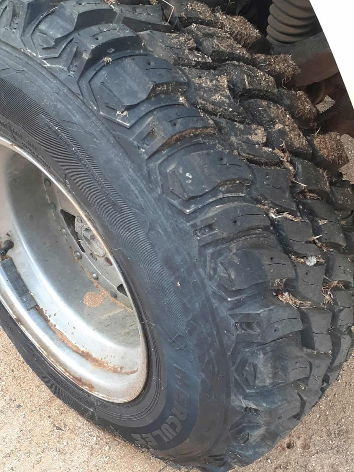 Dodge-Other-Pickups-1982-Standard-Cab-Pickup-3