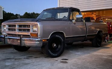 Dodge-Other-Pickups-1989-1
