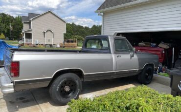 Dodge-Other-Pickups-1989-2