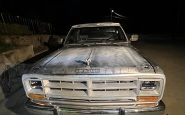 Dodge-Other-Pickups-1989-3