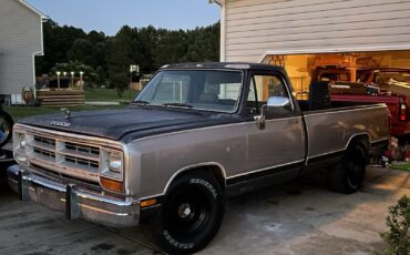 Dodge-Other-Pickups-1989