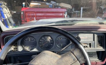 Dodge-Other-Pickups-1989-4