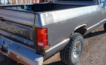 Dodge-Other-Pickups-1989-generation-1-1