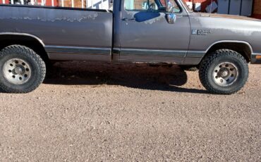 Dodge-Other-Pickups-1989-generation-1