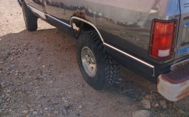 Dodge-Other-Pickups-1989-generation-1-3