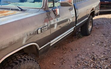 Dodge-Other-Pickups-1989-generation-1-4