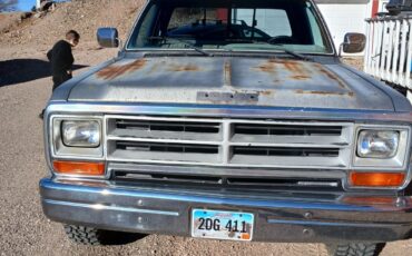 Dodge-Other-Pickups-1989-generation-1-5