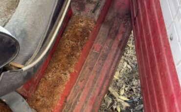 Dodge-Power-Wagon-1966-10