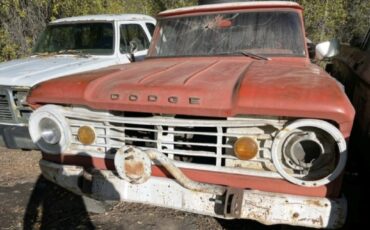 Dodge-Power-Wagon-1966-17