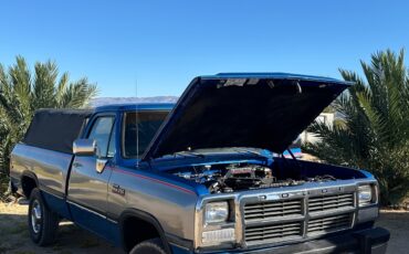 Dodge-Ram-2500-1991-Standard-Cab-Pickup-21