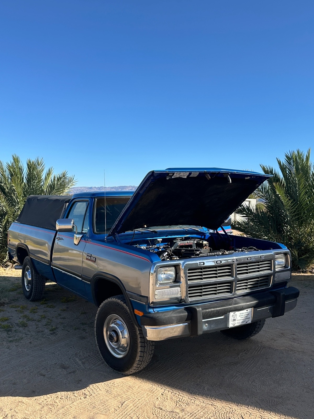 Dodge-Ram-2500-1991-Standard-Cab-Pickup-21
