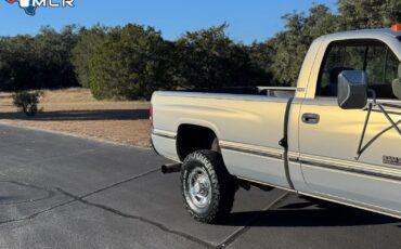 Dodge-Ram-2500-1994-Standard-Cab-Pickup-12