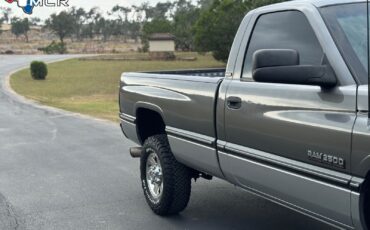 Dodge-Ram-2500-1994-Standard-Cab-Pickup-14