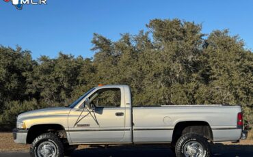 Dodge-Ram-2500-1994-Standard-Cab-Pickup-14