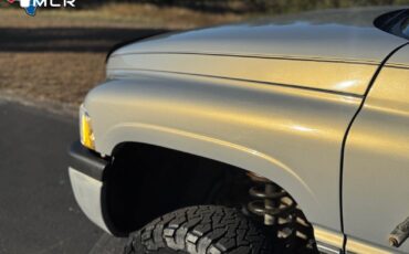 Dodge-Ram-2500-1994-Standard-Cab-Pickup-16