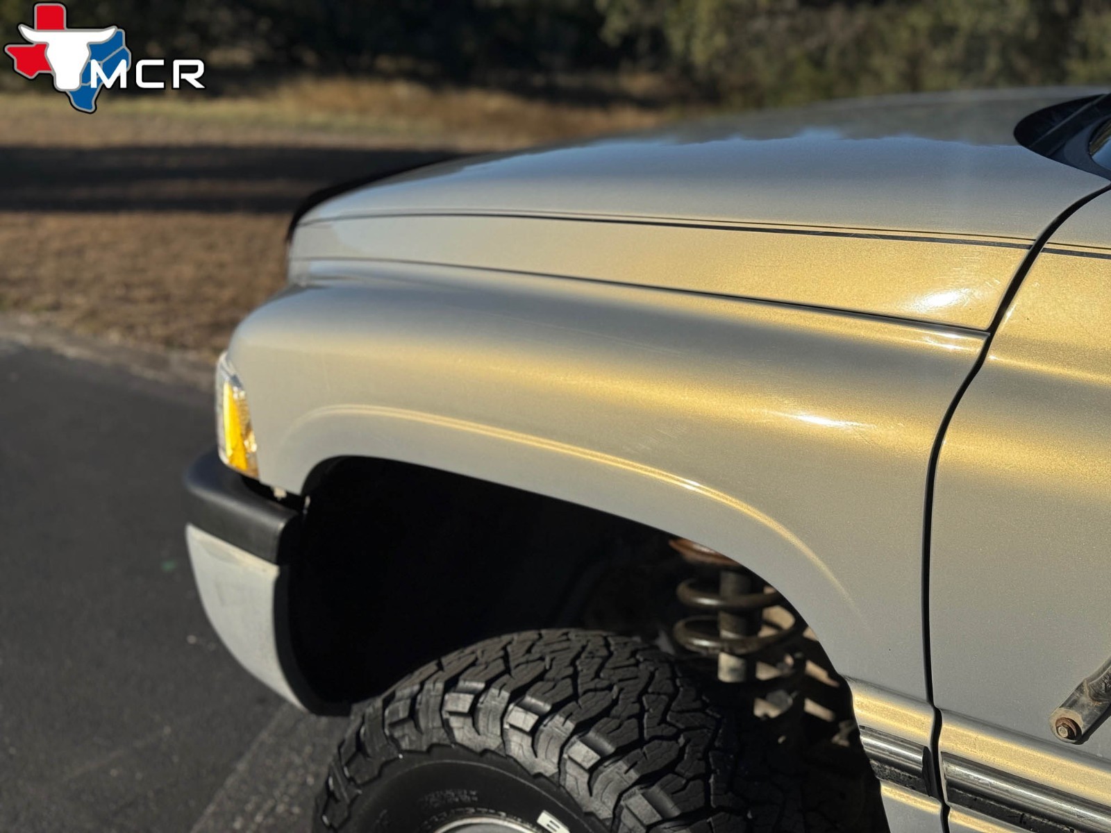 Dodge-Ram-2500-1994-Standard-Cab-Pickup-16