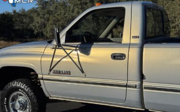 Dodge-Ram-2500-1994-Standard-Cab-Pickup-17