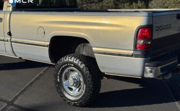 Dodge-Ram-2500-1994-Standard-Cab-Pickup-18