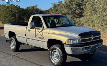 Dodge-Ram-2500-1994-Standard-Cab-Pickup-2
