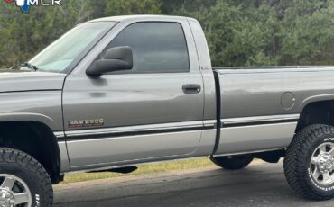Dodge-Ram-2500-1994-Standard-Cab-Pickup-20