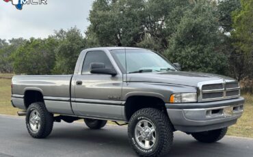 Dodge-Ram-2500-1994-Standard-Cab-Pickup-38