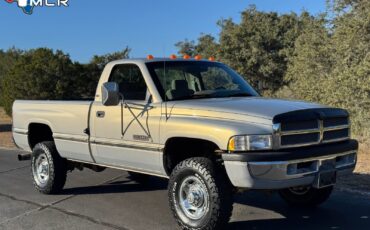 Dodge-Ram-2500-1994-Standard-Cab-Pickup-39