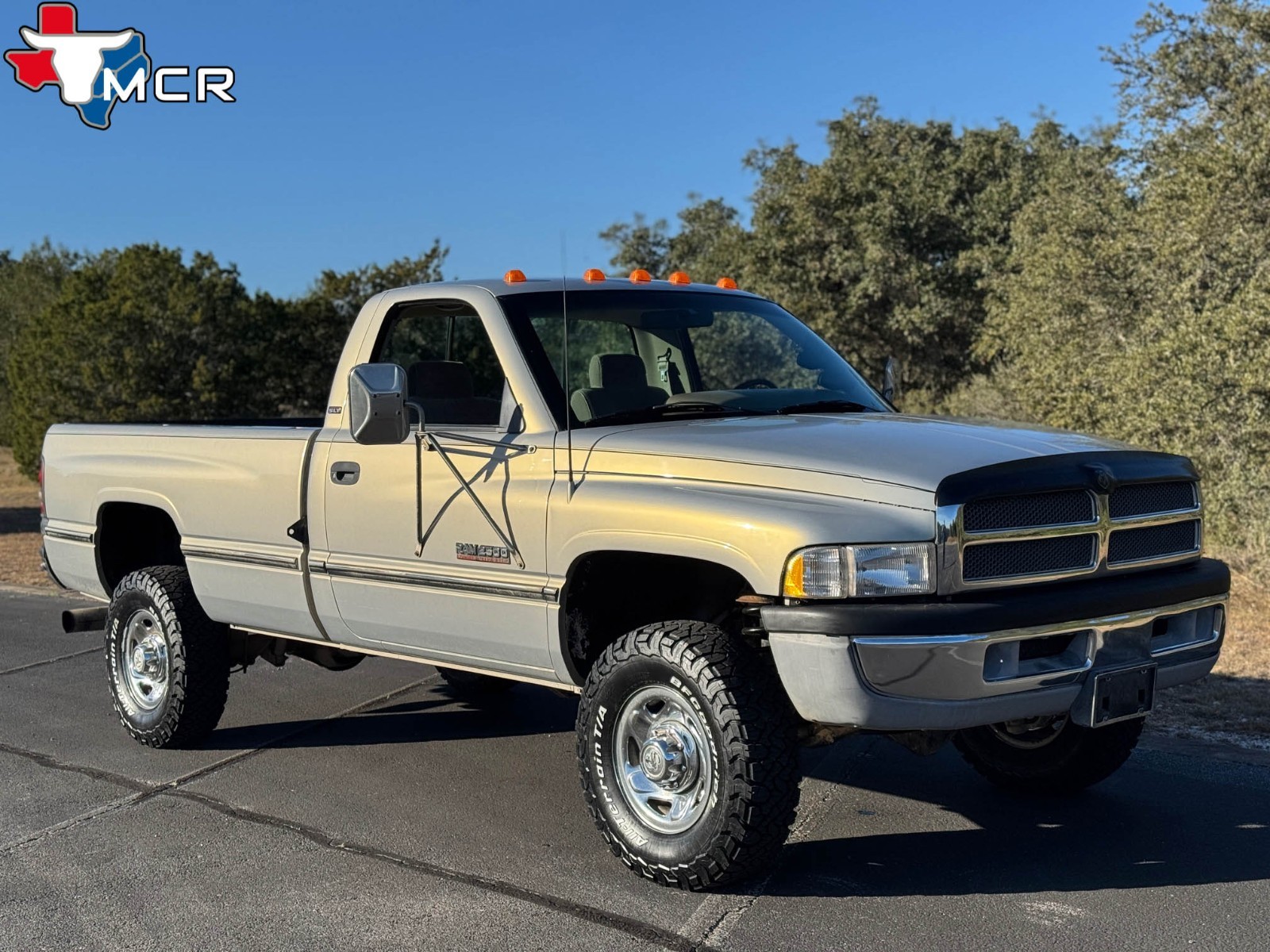 Dodge-Ram-2500-1994-Standard-Cab-Pickup-39