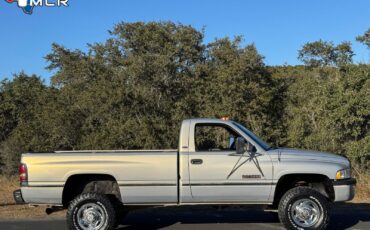 Dodge-Ram-2500-1994-Standard-Cab-Pickup-6