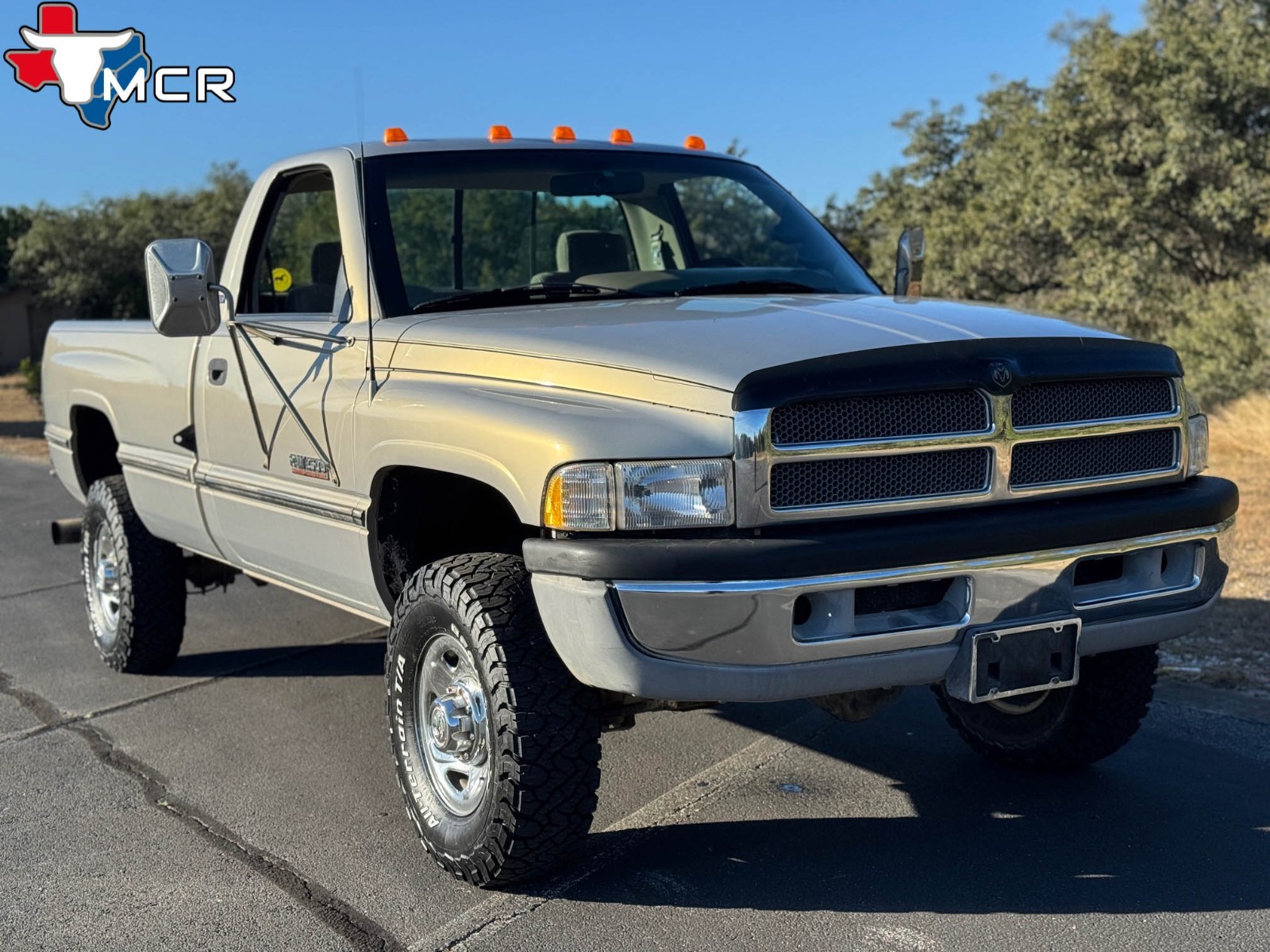 Dodge-Ram-2500-1994-Standard-Cab-Pickup-9