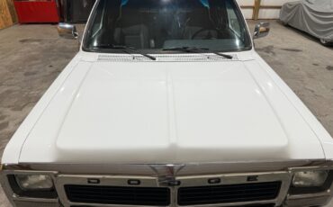 Dodge-Ram-3500-1993-8