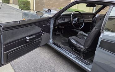 Dodge-Super-Bee-1974-Coupe-14