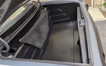 Dodge-Super-Bee-1974-Coupe-29