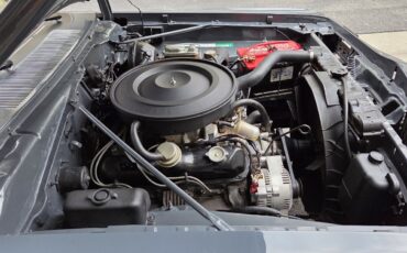 Dodge-Super-Bee-1974-Coupe-31