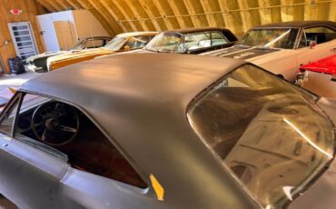 Dodge-Superbee-1970-36