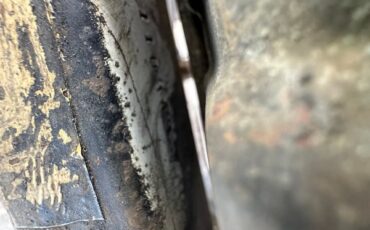 Dodge-Superbee-1971-29