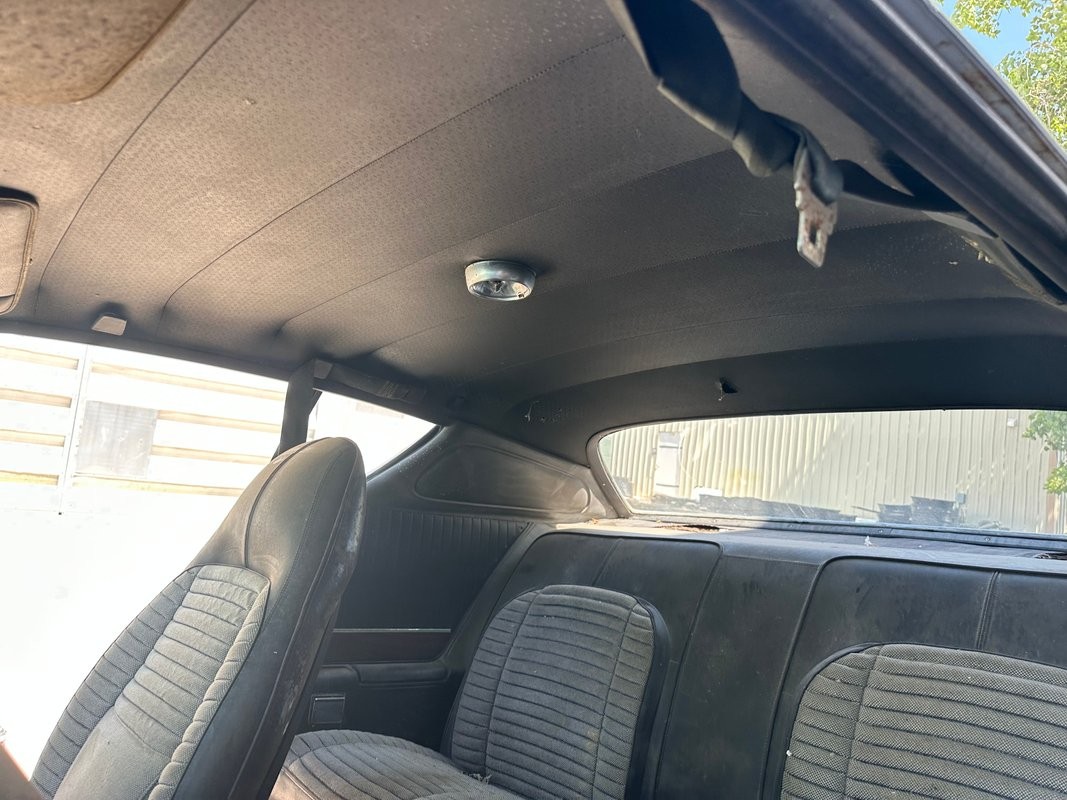 Dodge-Superbee-1971-30