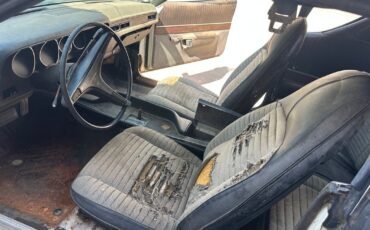 Dodge-Superbee-1971-5