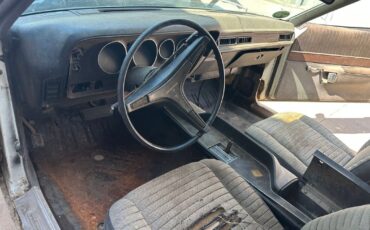 Dodge-Superbee-1971-6