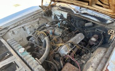 Dodge-Superbee-1971-9