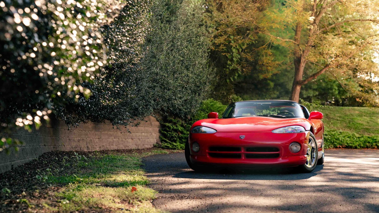 Dodge-Viper-1993-Convertible-10