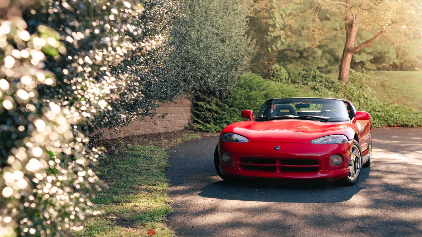 Dodge-Viper-1993-Convertible-11