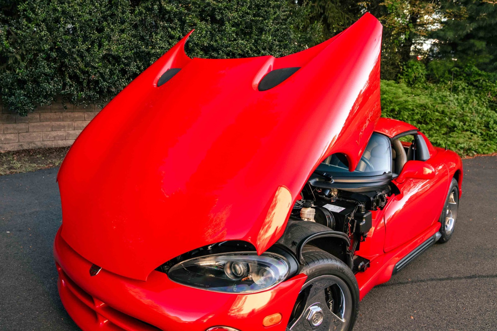Dodge-Viper-1993-Convertible-25