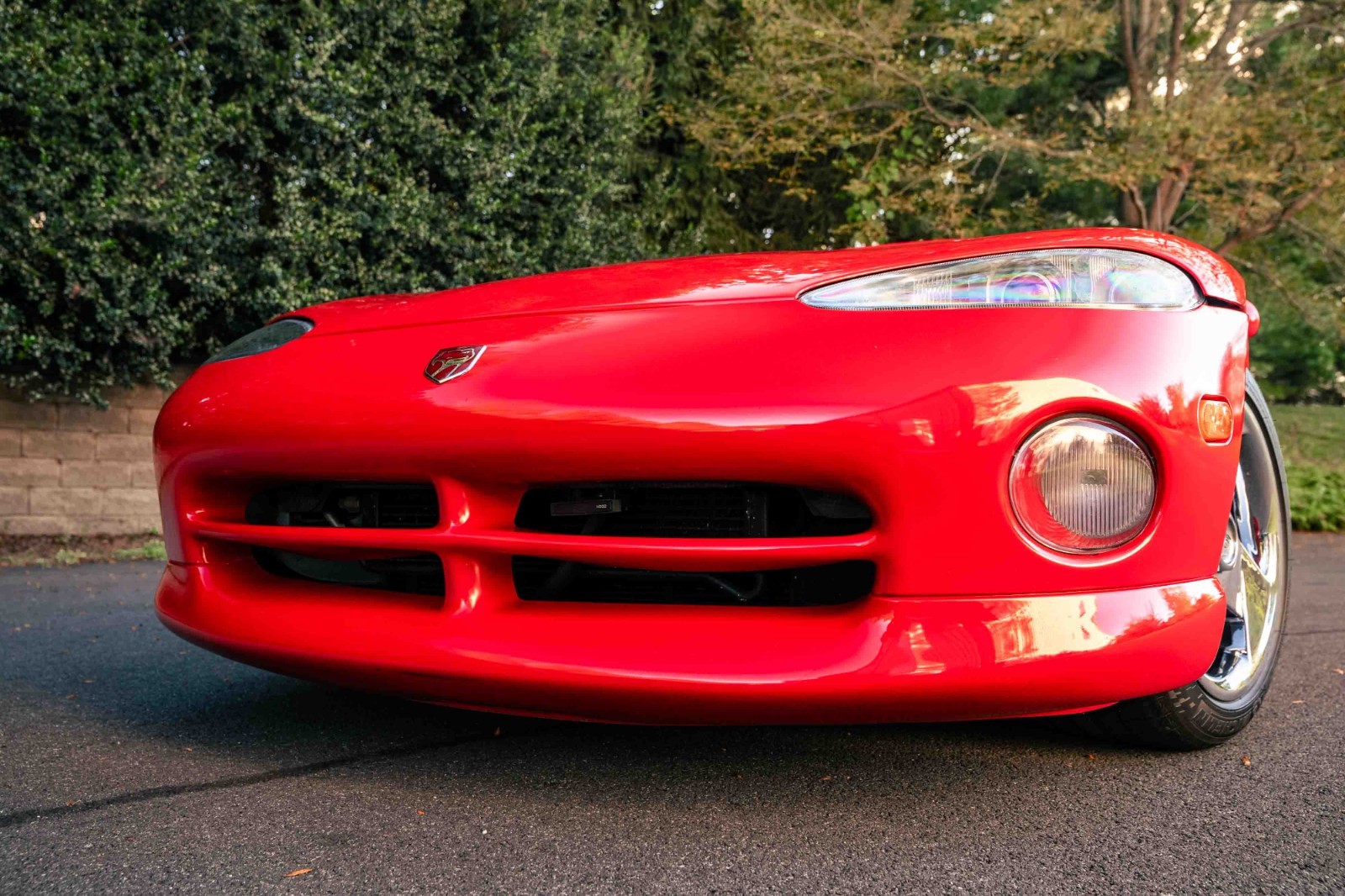 Dodge-Viper-1993-Convertible-4