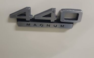 Dodge-charger-1967-white-9