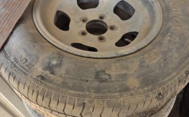 Dodge-charger-se-1973-grey-14