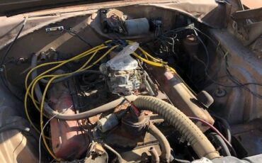 Dodge-coronet-1966-brown-9